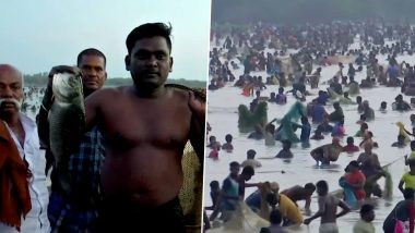 Tamil Nadu: People Gather in Large Numbers To Celebrate Fishing Festival in Madurai District (Watch Video)